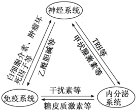 德优题库