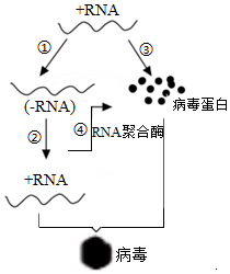 德优题库