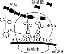 德优题库