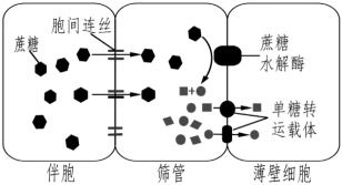 德优题库