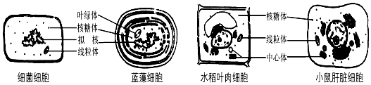 德优题库