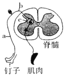 德优题库
