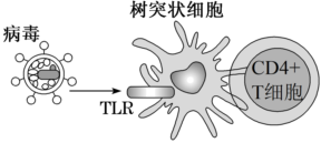 德优题库