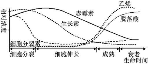 德优题库