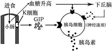 德优题库