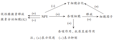 德优题库