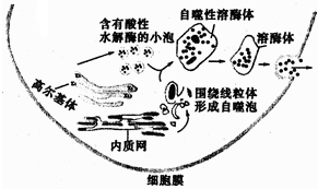 德优题库
