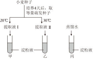 德优题库