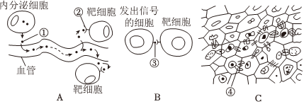 德优题库