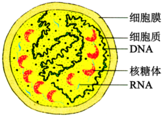 德优题库