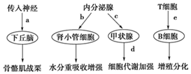 德优题库