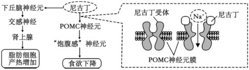 德优题库