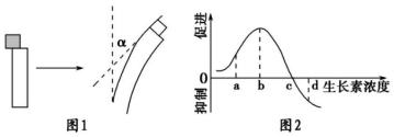 德优题库