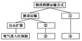 德优题库