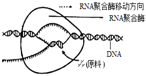 德优题库
