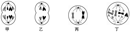 德优题库