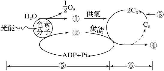 德优题库