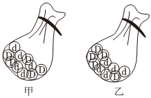 德优题库