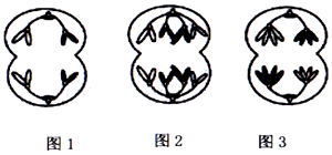 德优题库