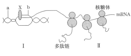 德优题库