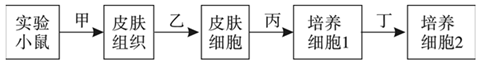 德优题库