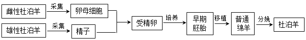 德优题库