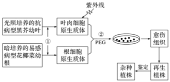 德优题库