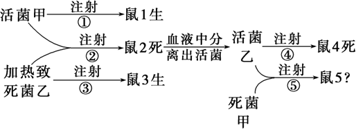 德优题库