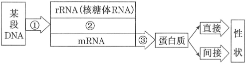 德优题库