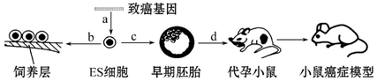 德优题库