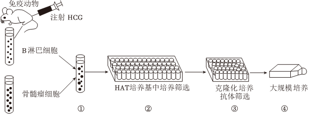 德优题库