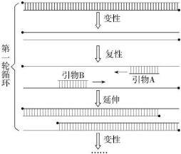 德优题库