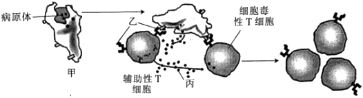 德优题库