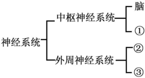 德优题库