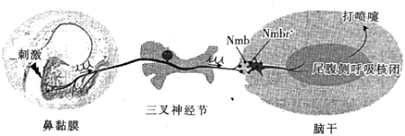 德优题库