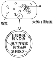 德优题库