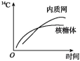 德优题库