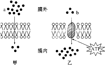 德优题库