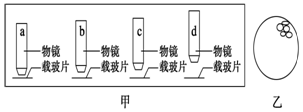 德优题库