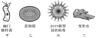 德优题库
