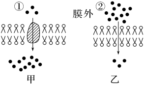 德优题库