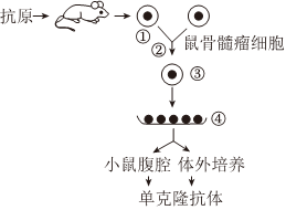 德优题库