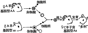 德优题库