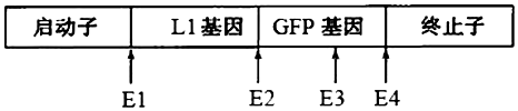 德优题库