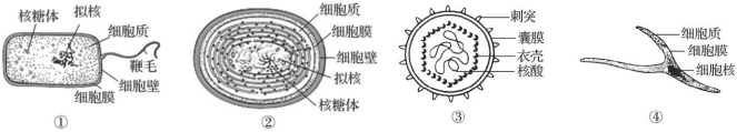 德优题库