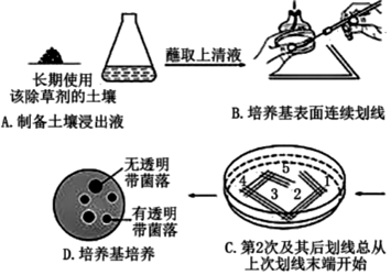 德优题库