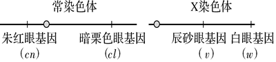 德优题库