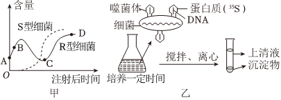 德优题库