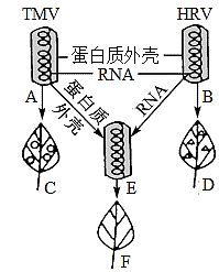 德优题库