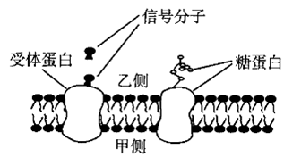 德优题库